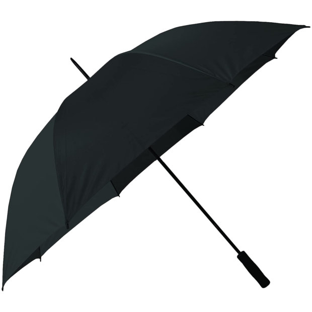 Courtesy Umbrella